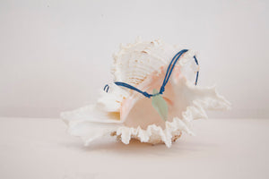 Conch shell beach glass necklace